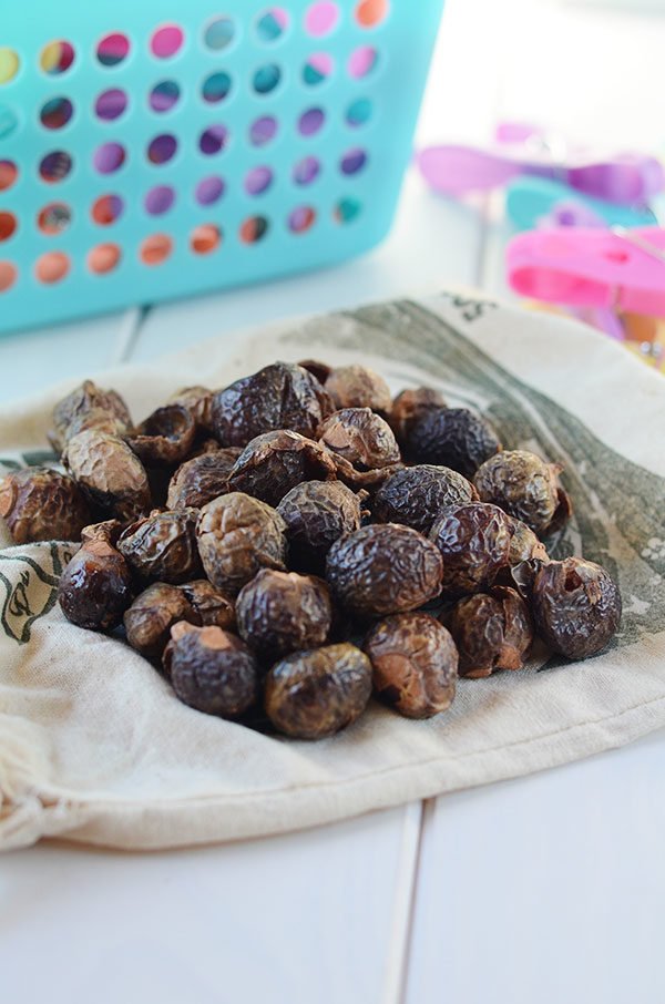 soap nuts