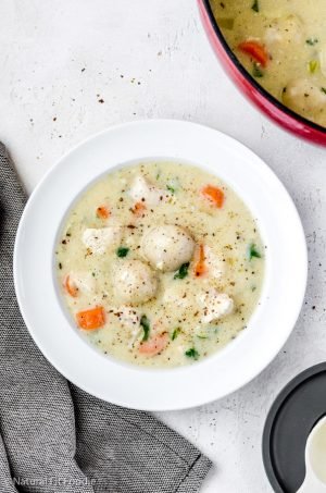 Overhead portrait view of chicken and dumpling soup.